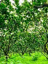 IMG_7825-2.webp