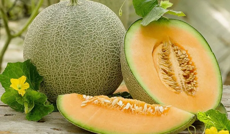 Dưa lưới hạ uyển